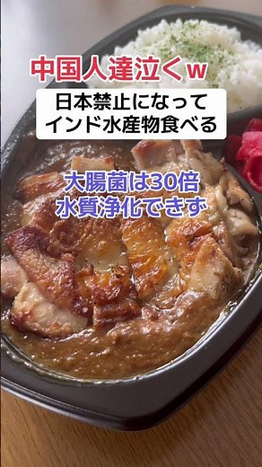 [Sad news] Chinese people: "We have to eat Indian seafood because of Japan's ban..."