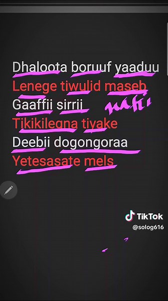 Gaafii: Oromiffa Language Learning Insights