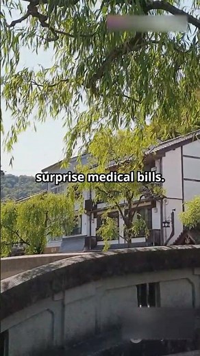 Japan’s Insurance System Will Blow Your Mind 💥🇯🇵