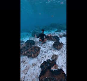 Explore this underwater world of giant clams in the Philippines