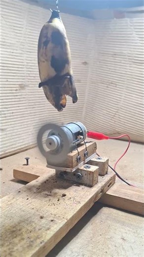 destroy rotten bananas #experimnent #dcmotor #nikolatesla