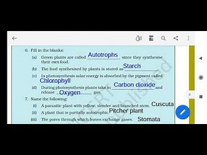NCERT Solutions for Class 7 Science Chapter 1 - Nutrition in Plants