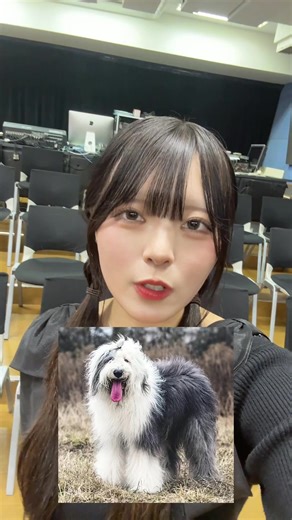 最後まで見てね😊 #アミューズメントメディア総合学院 #AMG #専門学校 #声優学科