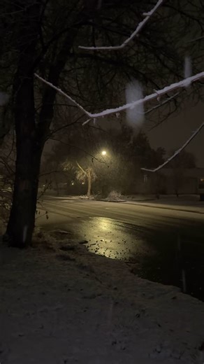 Peaceful #aesthetic #aesthetically #aesthetictumblr #aestheticphotography #aestheticfeed #dreamcore #dreamcoreaesthetic #reels #dark #snow #naturephotography #relax | Stuckkonearth