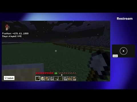 minecraft with my dad