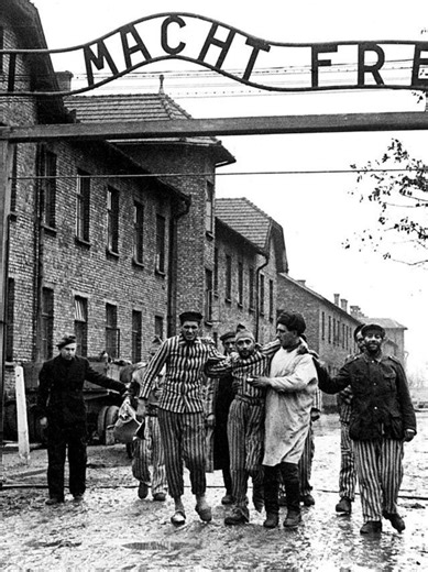The liberation of the Nazi camps marked the end of unimaginable suffering for thousands of men, women, and children. As Allied forces advanced, they opened the gates of camps such as Auschwitz and Dachau, bringing long-awaited freedom to the survivors. At the same time, the world was confronted with the shocking reality of the atrocities committed within those walls. Video source: Yad Vashem – YouTube channel #AuschwitzExhibition #NotLongAgoNotFarAway | Auschwitz Exhibition