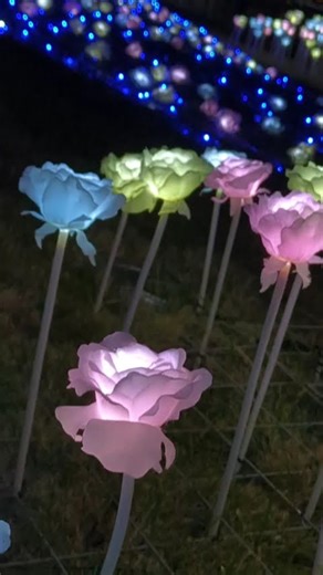 横浜が光り始める。いろんなところでイルミネーションが始まってるから夜の散歩がはかどる🌱Yokohama is starting to light up.#yokohama #横浜