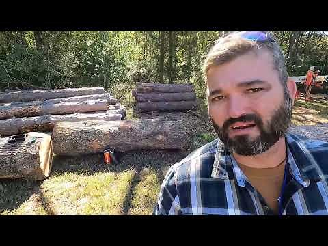 Milling a huge poplar log to into lumber for use around a 194 year old homestead.
