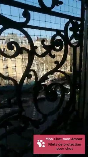 Filet de protection invisible pour chat pour balcon, et sans percer ! 🐾🐱👍
