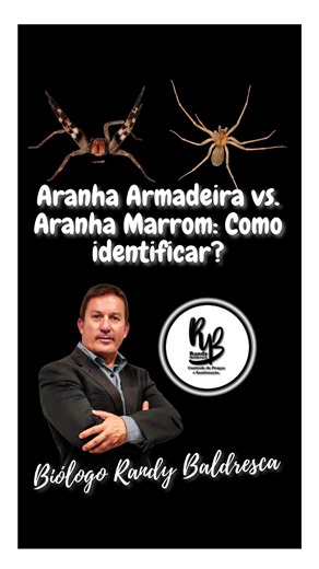 BIÓLOGO RANDY BALDRESCA | Especialista em Controle de Pragas on Instagram: "Aranha Armadeira vs. Aranha Marrom: Como identificar e o que fazer em caso de picada? 🕷️⚠️ Você saberia identificar uma das aranhas mais perigosas do mundo se encontrasse uma na sua sala? Neste vídeo, o Biólogo Randy Baldresca (CEO da RB Controle de Pragas) explica as principais diferenças entre a Aranha Armadeira e a Aranha Marrom, as duas espécies mais comuns em acidentes domésticos no Brasil. Aprenda a reconhecer os 