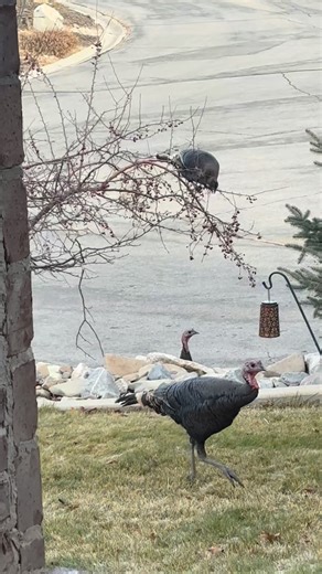 Jana Waller Bair on Instagram: "Get after it! Make things HAPPEN in 2026! 🙌🏻🥳"