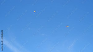 Multiple skydivers descending and landing in a designated green area.