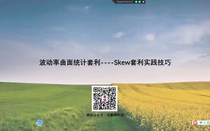 第8讲：波动率曲面统计套利----Skew套利实践技巧.mp4