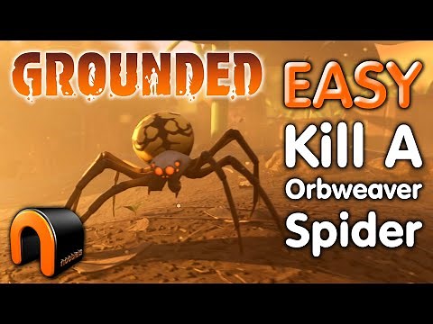 GROUNDED How To KILL ORBWEAVER Spiders EASY! #Grounded
