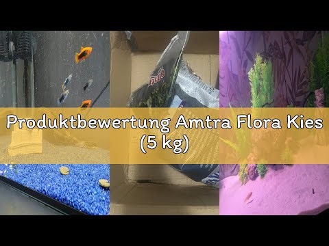 Produktbewertung Amtra Flora Kies (5 kg)