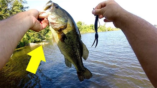 Weathering the Storm: Mastering Post-Front Bass Fishing