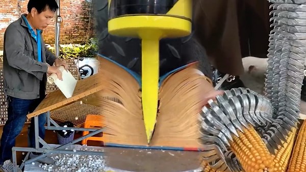 Incredible Workers at Their Full Potential Deliver Flawless Results