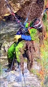 12M views · 78K reactions | Video on how to remove bees . . . #beekeeping #amazing #life #lifestyle #bees #travel #love #beekeeper #bee #photooftheday #photography #fypシ゚ #instagood #reelsviralシ #honey #beekeepers #reelsfypシ #beautiful #beesofinstagram #picoftheday #nature #fashion #beeswax #happy #style #honeybees #savethebees #instadaily #honeybee #usa | Searching For Honey | Facebook