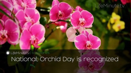 Demi Moore, Ed Sheeran, Snoop Dogg, Simone Biles Named to TIME100; Game Show Legend Wink...