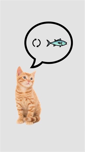 The Rubber Duck Method, explained by cats. #cat #code #duck #rubber #method