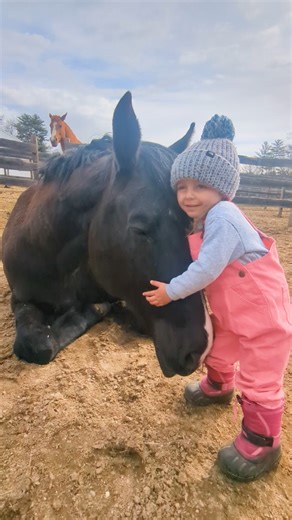 2.8K views · 144 reactions | Cute moment when girl hugs a horse! 殺 | Animal Stories | Facebook