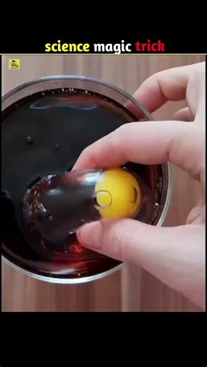 science magic tricks 🌟 #facts #Science #amazingfacts #factshunter