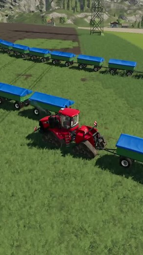 Potato Edition on TikTok