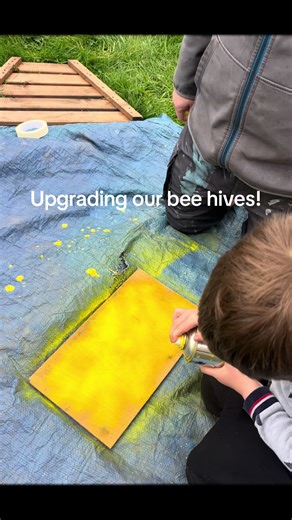 We have been giving our beehives a paint! We have tried using spray paint and we are very pleased with the results! #beekeeper #painting #Home #kidstiktok #traditionalcraft
