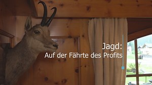 Jagd: Auf der Fährte des Profits