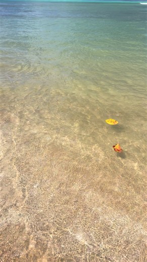 Descubre Playa Escondida en Fajardo, Puerto Rico