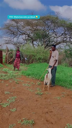 Merin💎👑 (@merin_official)’s videos with original sound - Merin💎👑