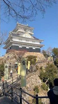 Visiting Gifu Castle & Learning About Oda Nobunaga: A Must-See Tourist Attraction in Gifu, Japan
