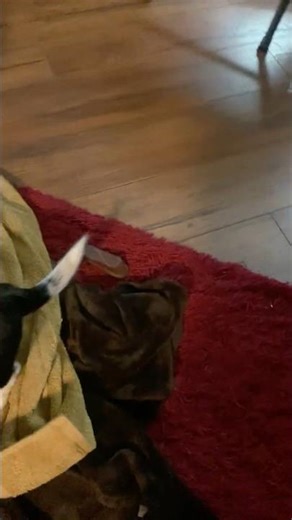 Gabe and friends episode 16 split personality’s trailer 1