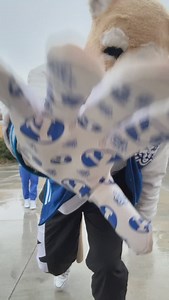 ngl we ate 😮‍💨 | Cosmo the Cougar