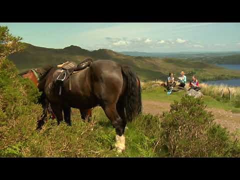 Horseback Riding the Ring of Kerry | Ireland’s Most Scenic Equestrian Adventure