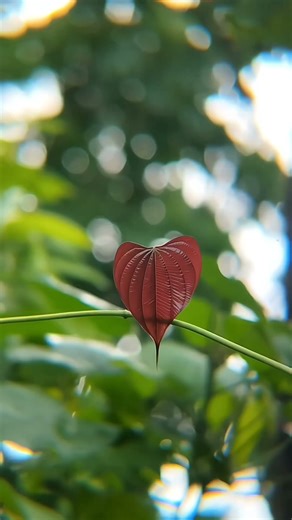 Redmi note 12 using apexel 18x zoom lens. nature photography #apexellens #mobilevideography #short