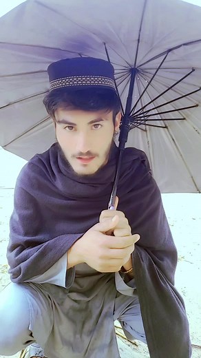 Quail_ Fighting on TikTok