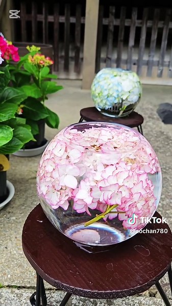 奈良県の般若寺と紫陽花の美しさ