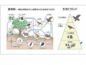 生物基礎　6回目