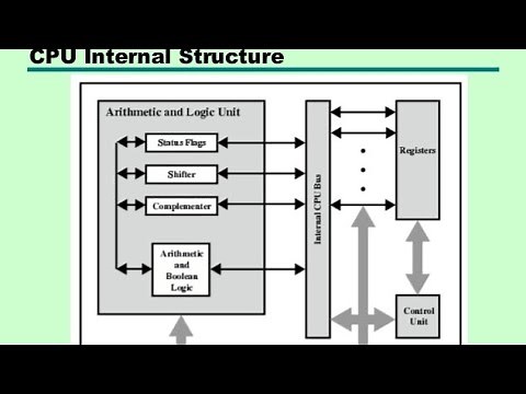 Processor Organization - Components Of Processor