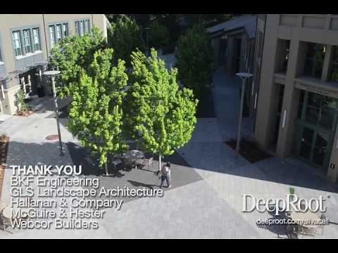 Silva Cell installation time lapse video