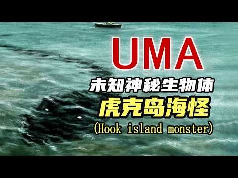 The Hook Island Sea Monster Mystery: Unraveling the Cryptid Legend