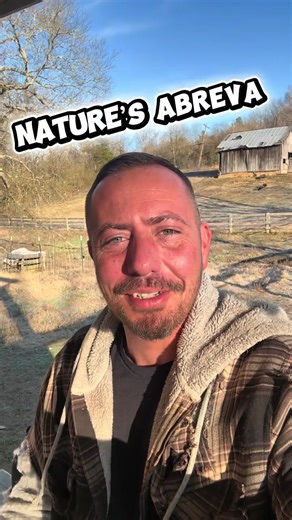 Nature’s Abreva! Fight cold sores, stress, and anxiety with this ONE powerful herb! #herbalife #fyp