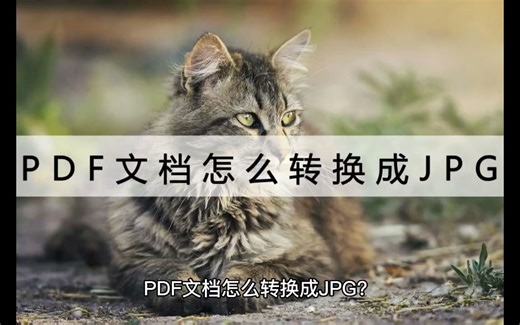 PDF文档怎么转换成JPG？这两个小技巧在线就能转