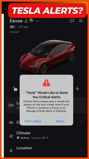 How to Check Tesla Alert Notifications | Tesla Tutorial