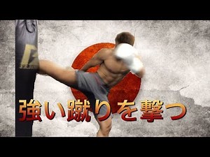 Kick Boxing Middle kick