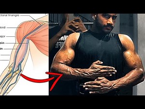 අතේ නහර විද්‍යාවට අනුව පිටතට ගන්නෙ මෙහෙමයි | Vascularity Guide