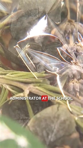 Town and Country School students are getting hands-on experience with business skills! The school's annual student-run market gives young entrepreneurs the chance to sell handmade products, from baked goods and cotton candy to jewelry, 3D-printed items, and simmer pots. Students set prices, interact with customers, and manage their own sales, gaining confidence and practical skills along the way. | KOTV - News On 6