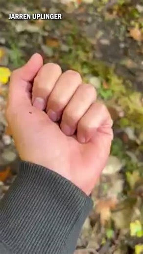 2.8K views · 97 reactions | It's National Reptile Awareness Day! Did...