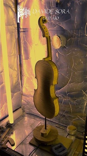 Viola 2025 - Abbronzatura del legno con i raggi UV-A - Wood tanning with UV-A rays #shorts